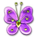 SChua_Vibrant_butterfly1