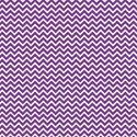 mikki-chevron15