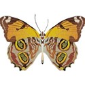OneofaKindDS_BJandRoses_Butterfly 01