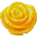 OneofaKindDS_CU-Resin-Rose-Yellow