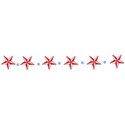 Star Ribbon