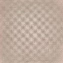 DD_Dreamer_paper13