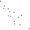 DD_Dreamer_stars