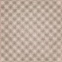DD_Dreamer_paper13