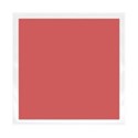 lisaminor_learndiscoverexplore_frame_n
