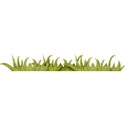 lisaminor_timeforspring_grass