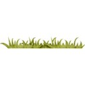 lisaminor_timeforspring_grass