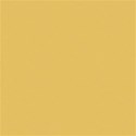 lisaminor_timeforspring_paper_x