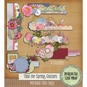 preview_lisaminor_timeforspring_clusters
