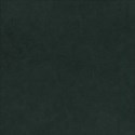 lisaminor_brothers_paper_r