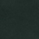 lisaminor_brothers_paper_r