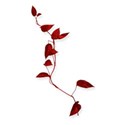 BD_Leaves_04