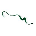 BD_Ribbon_09