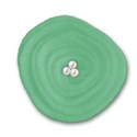 green flower 4