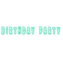 birthday party copy2