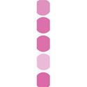 e pink strips II