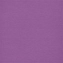 lisaminor_ourbackyardparty_paper_b