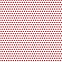 lisaminor_ourbackyardparty_paper_q