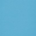 lisaminor_ourbackyardparty_paper_a