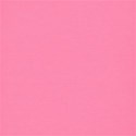 lisaminor_ourbackyardparty_paper_h
