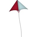 lisaminor_atthepark_kite_a