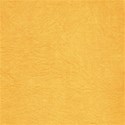 lisaminor_prehistoric_paper_i