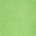 lisaminor_prehistoric_paper_f