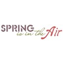 Sprinisintheair