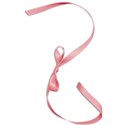 calalily_loveissweet_ribbon5 copy