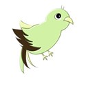 parrotgreen