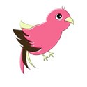 parrotpink