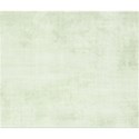 calalily_cherishtoday_greenpaper copy