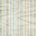 calalily_cherishtoday_stripedpaper