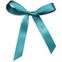 SCD_LeapFrog_bow2