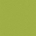 papergreen