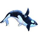 orca