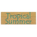 tropical summer1