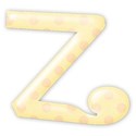 z_bday_mikki