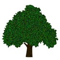 tree 2