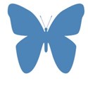 butterfly blue