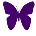 butterfly purple