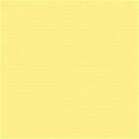 bg yellow 2