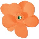 flowerorange