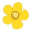 buttercup