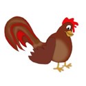 cock