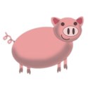 pig