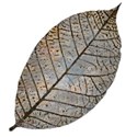 brown blue leaf