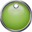 green shiney tag