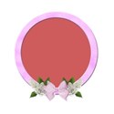 circle frame pink