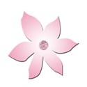 flower pink 2